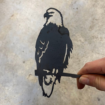 Mini Bald Eagle